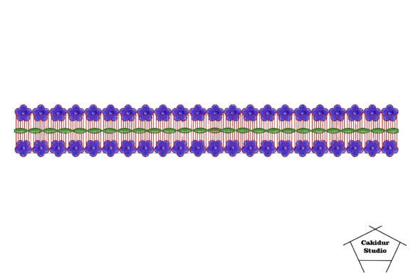 Stack Flowers Border: A Designer's Real-World Review